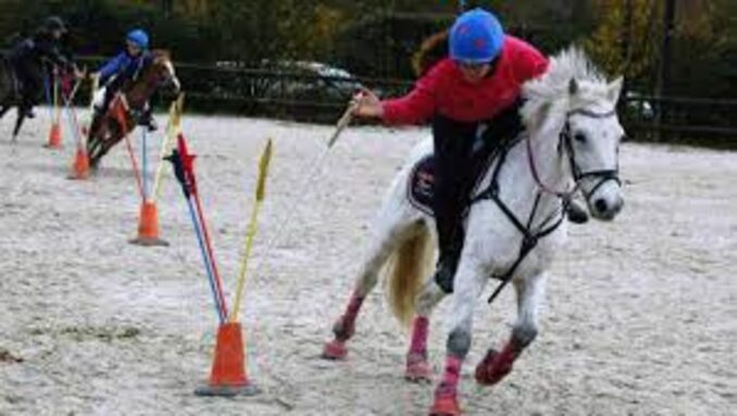 pony games.jpg